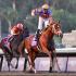 Breedersâ€™ Cup 2019 Plagued by Another Equine Death